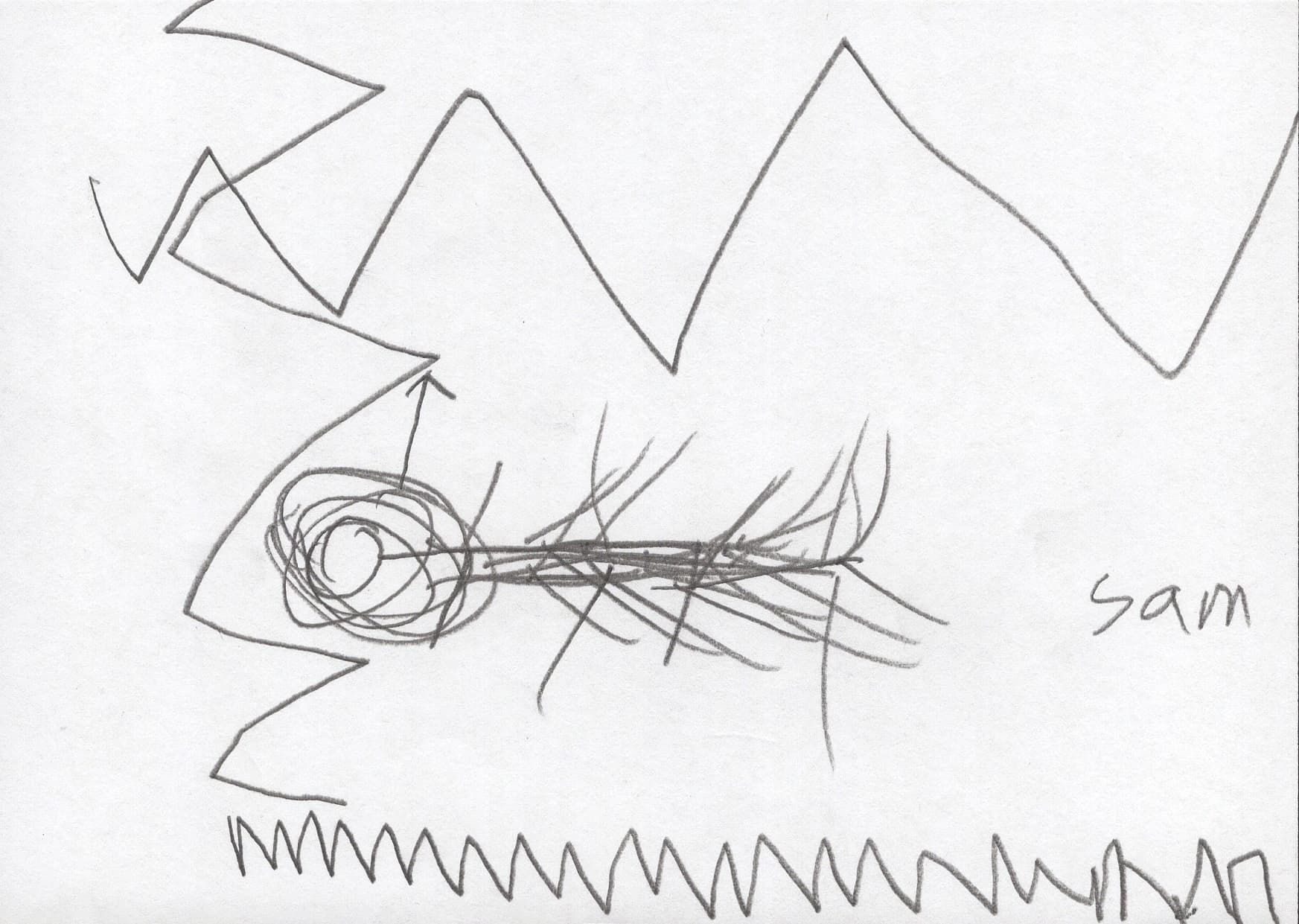 為無名山增高一米