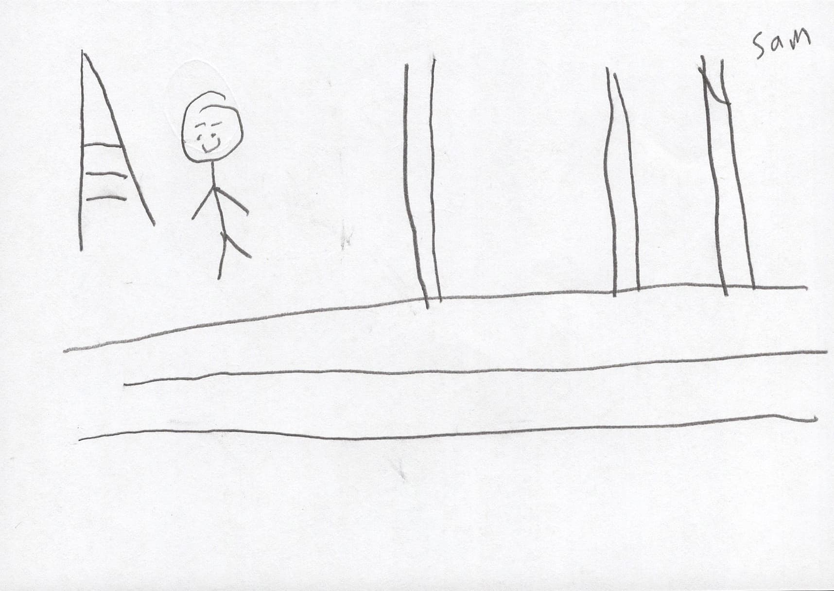 可惜那無情的春風吹落了鮮花吹走了芬芳並帶着無限的感傷偷偷整理絲裙