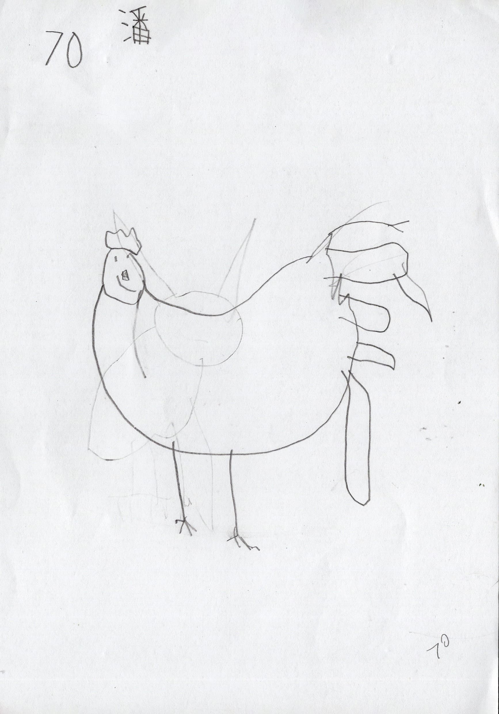 兔、蛇、馬、羊、鼠、雞