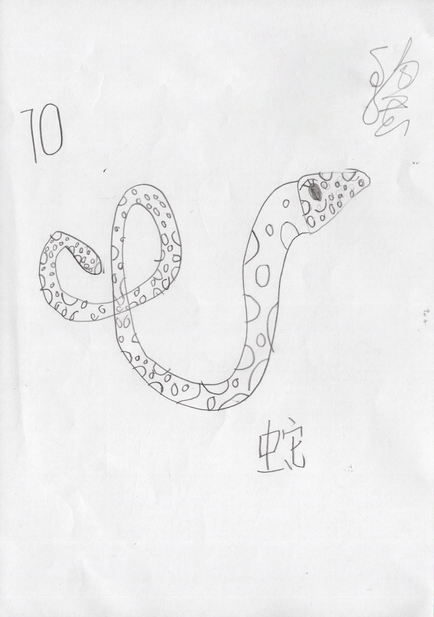 兔、蛇、馬、羊、鼠、雞